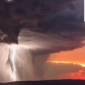 Meet your Posher, Charlene